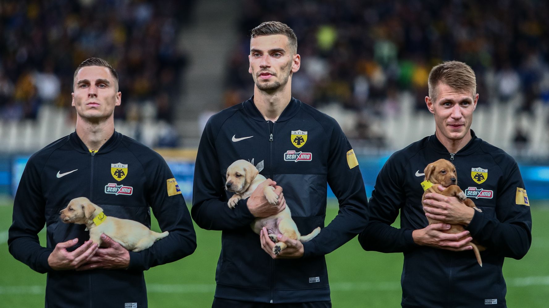 Ποδοσφαιριστές της ΑΕΚ με αδέσποτα κουτάβια στην αγκαλιά τους.