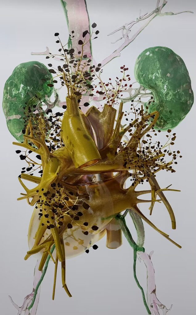 Costas Picadas: Οι «Invisible Ecologies» στη Θεσσαλονίκη και μια πρώτη γεύση από τη συζήτησή του στο Terra Voices c2501f 107976278c264ce3be6bf03d9f665ed4mv2.jpg