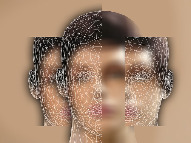 psychology 1959758 640