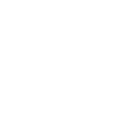 THE FUTURE OF THE PAST WHITE